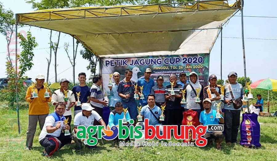 bc3e87cf-a517-4ef4-acd5-79f17a178128