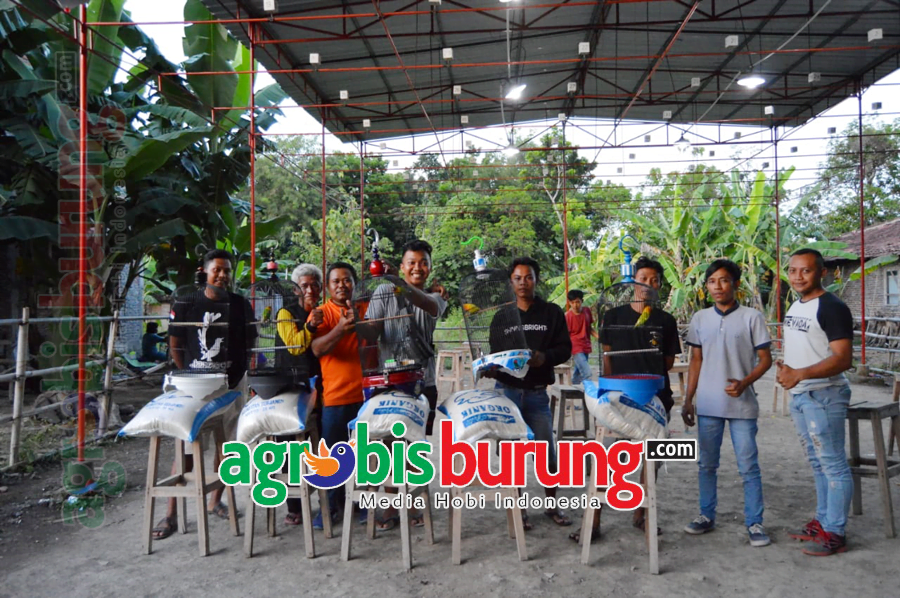 pemenang lb bergengsi mendapat beras