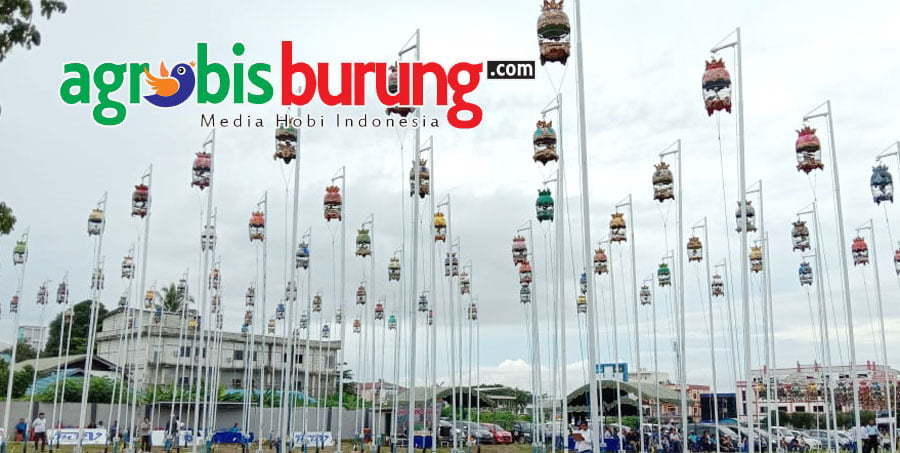 03251e44-1e13-480a-9c80-bd85f6002e4c