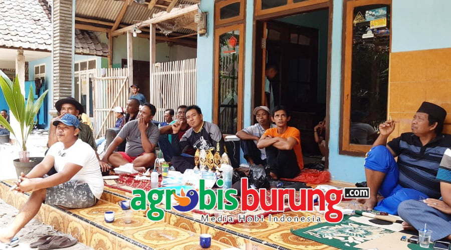 2e4ae343-5c8d-4155-b6ce-425ce7066c02