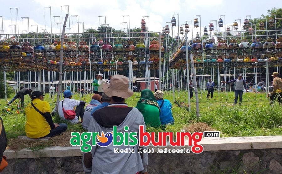 982a4636-73b9-459b-9aff-af594dcf2960