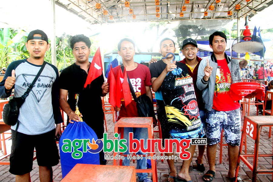 Cemplux - Ferguso Suguhkan Penampilan Ciamik