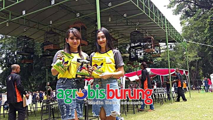 FB_IMG_1582520028335