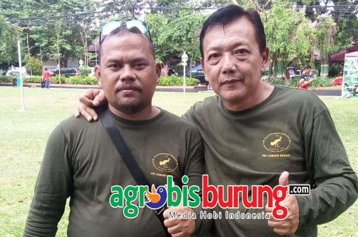 KC FERARI 1(YONO JABRIG)