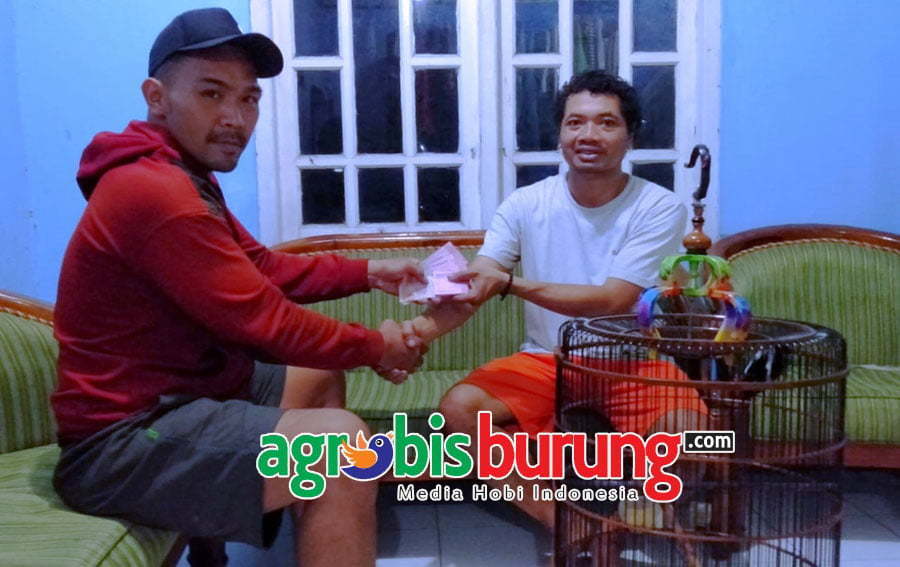 Take over Xenia05 tanpa pikir panjang