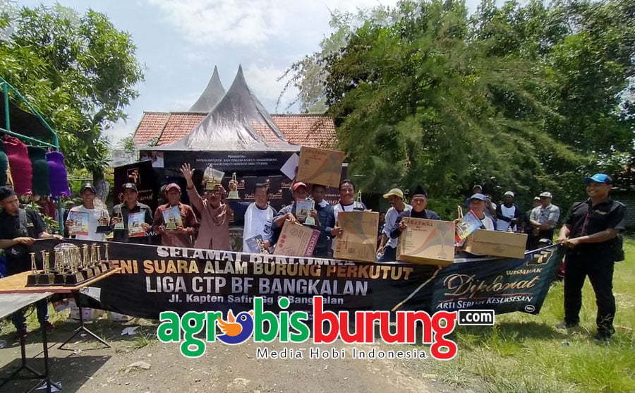 c34e9219-0391-40df-8c71-f98bc7d6a017