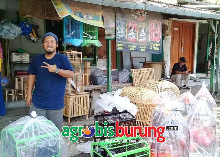 sangkar JENDRAL di buru kicau mania