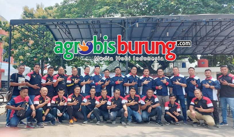 89039777_825924364543628_1645243280645947392_n