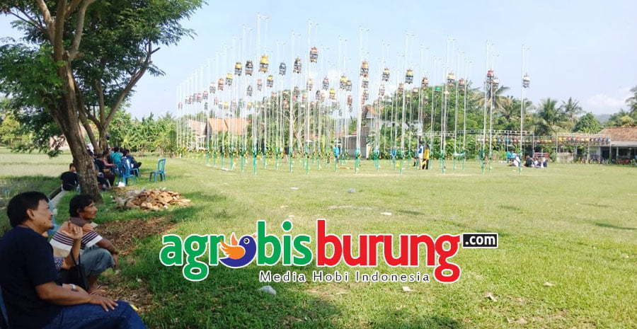 8b392231-09b5-45a6-949c-6c7e07d169a5