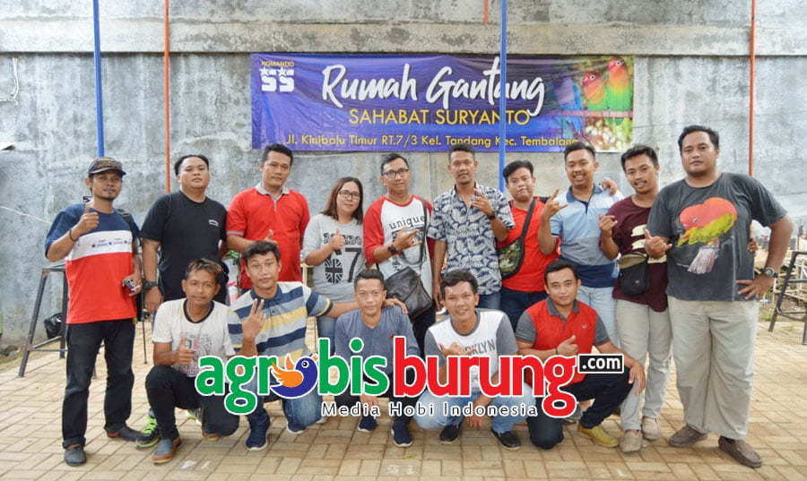 JURI DAN PANITIA JAVA BC