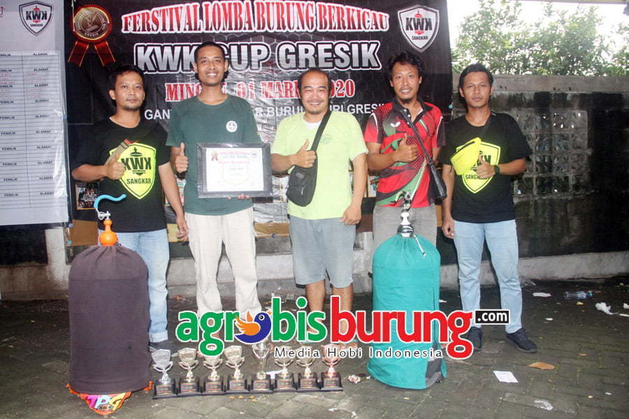 Sagiyem Lovebird Terbaik