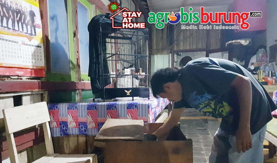 PROSES PERAWATAN ALA BKTS