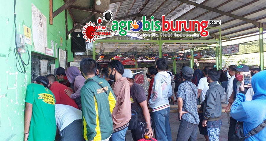 7d91ede3-bb9f-40d7-9967-98af6222da11