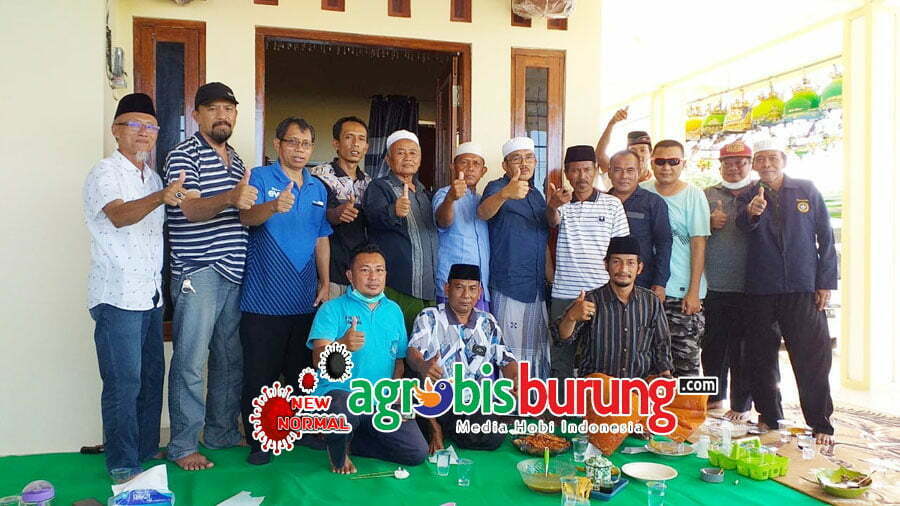 dd239752-dd0c-4585-8230-6e6e88b76f6e