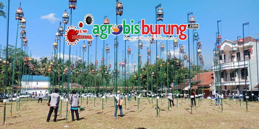 061615b3-e16d-471b-ad38-a46c0475b34f