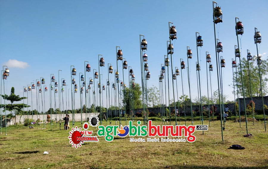 5568a11d-6c9d-4076-9eca-5210b1d0b9f6