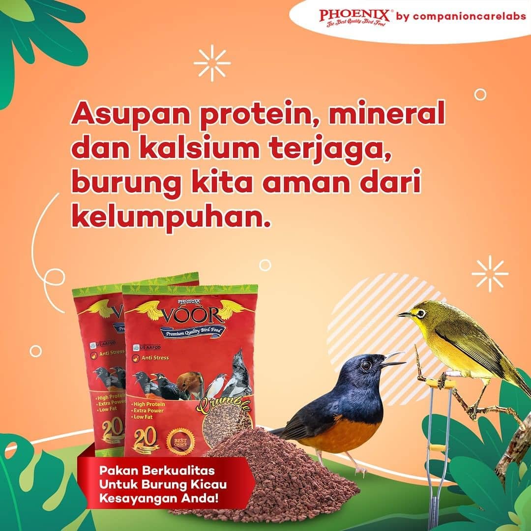 89781918_195025655247576_6547938600669937664_o