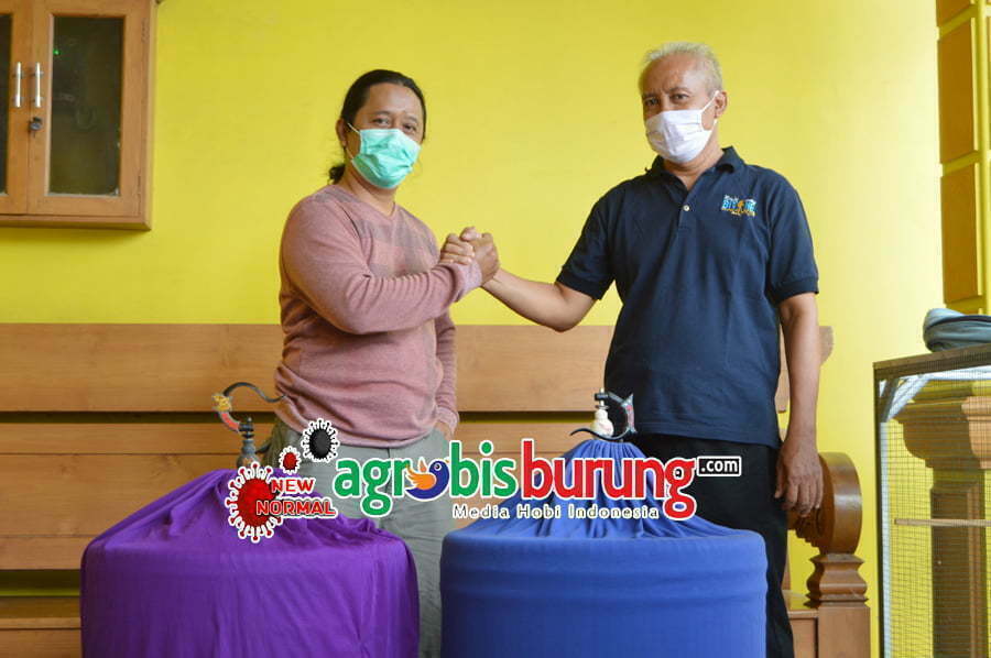 Harga Fantastis ATM Berbonus Pelapisnya Dealova