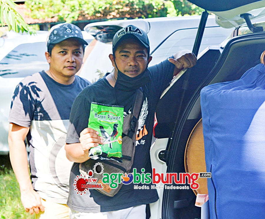 Pilihan tepat Maxxx Power redam birahi Gundala