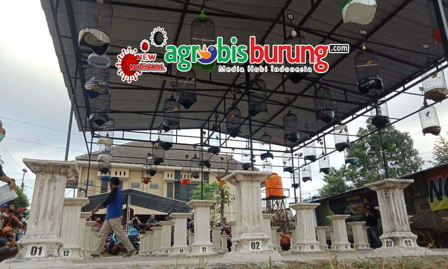 c8b46725-02cb-4820-9ad0-737ee0dddd04