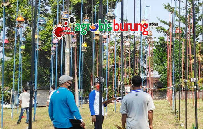 116876068_845042435901763_7626256944387797645_n