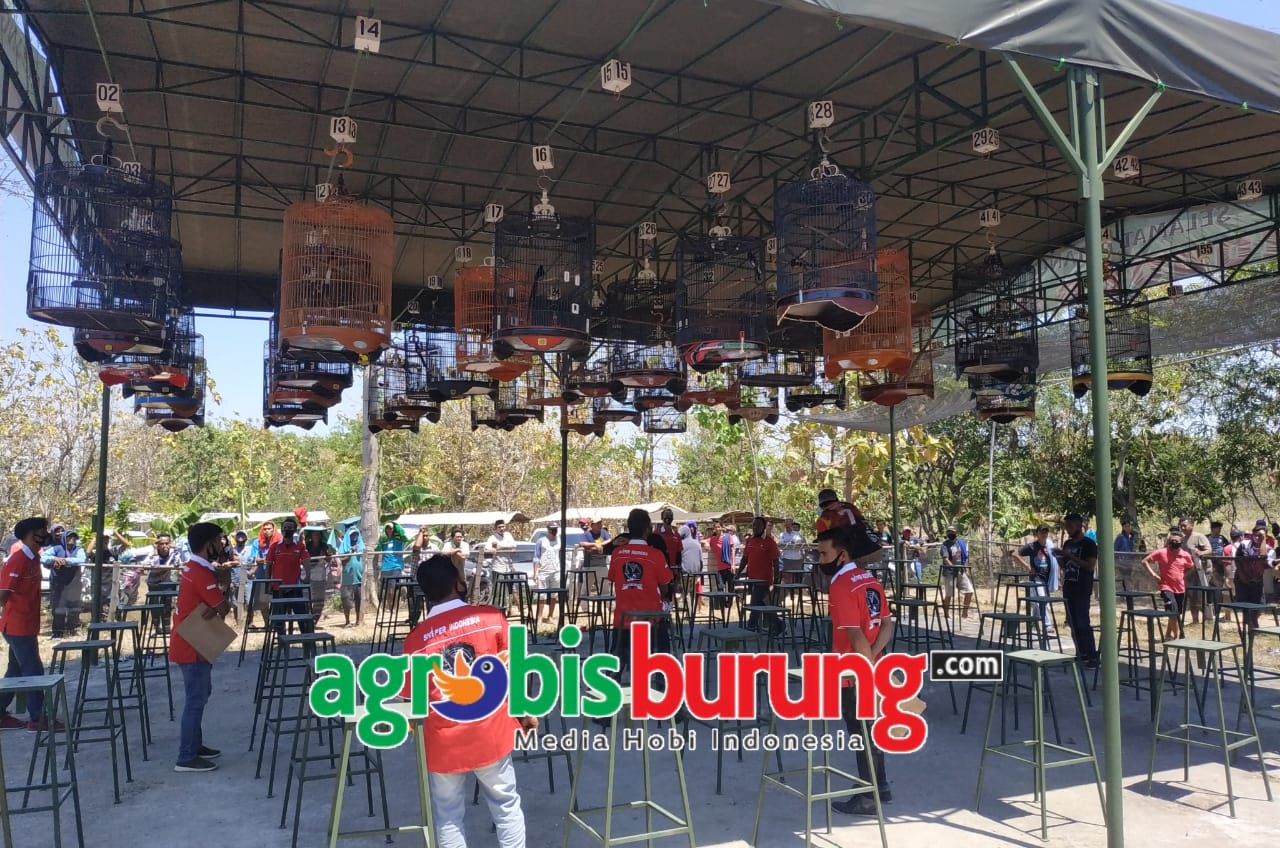 55928486-e519-45ec-8e42-b50d3d96138c