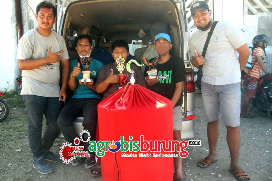 H Gianto Dengan Murai Batu Sukses Nyeri