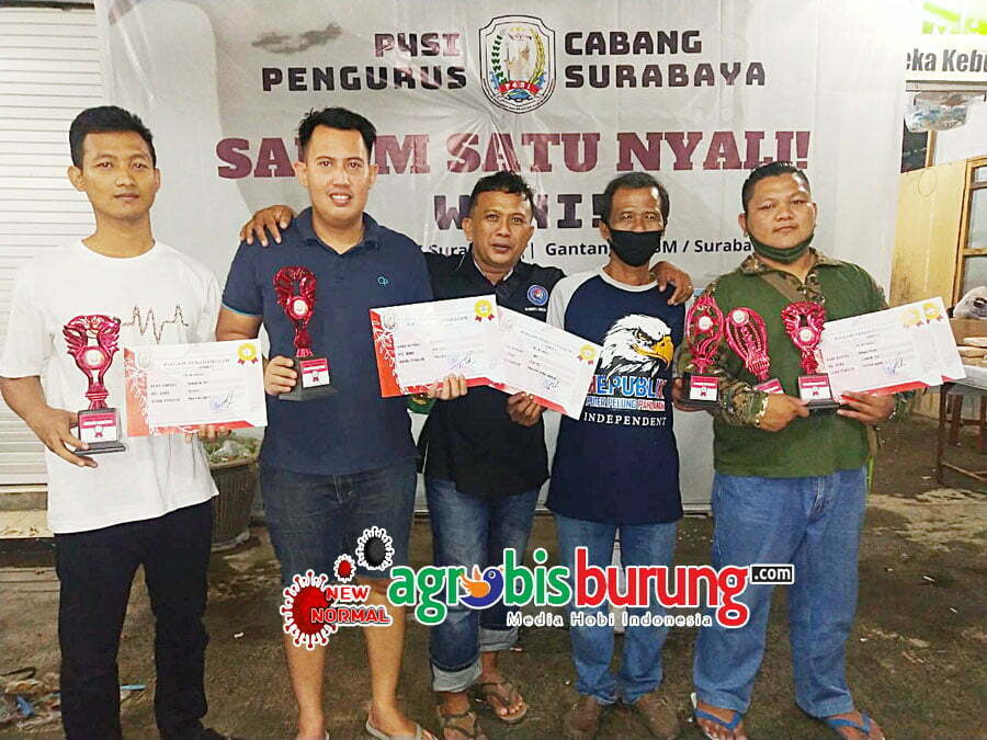 Juara I - V kelas bebas
