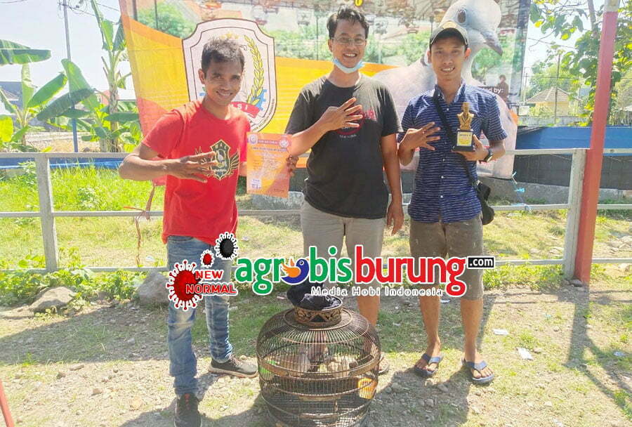 c2f8b047-d1b8-4ab2-b7f3-b774831d1e03