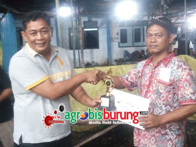 eZy_watermark_16-08-2020_09-36-18