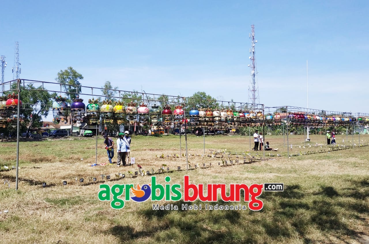 78a37861-f89b-4e9d-b063-33ddd7db233c