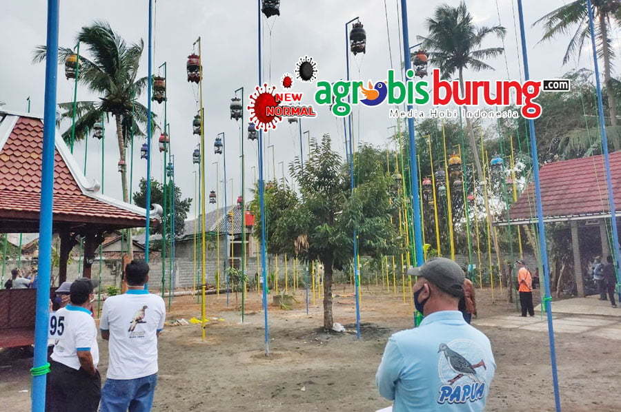 a9521d0f-b994-4344-a0e3-adab83e1ce4c