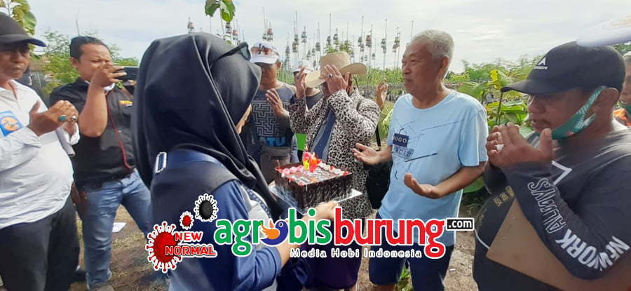 758bbd49-226b-4671-80c3-7b77eeb8521a