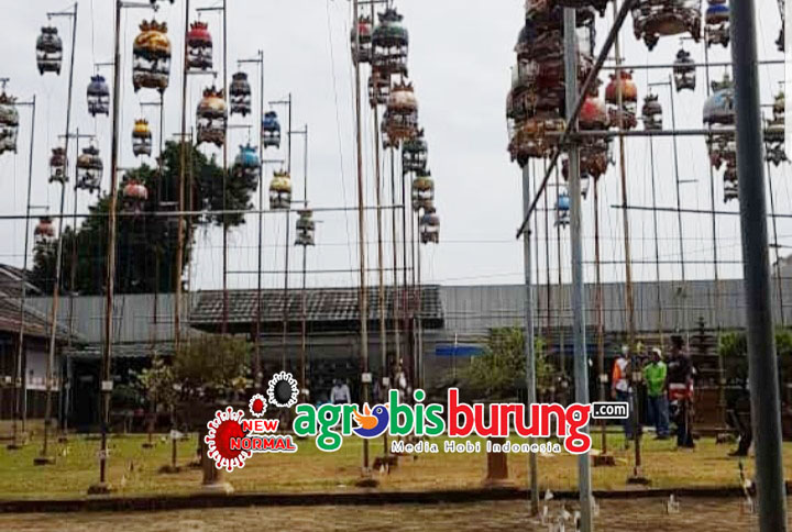 c95df6a5-cee7-4576-b4f0-bd9e5b3e23d2