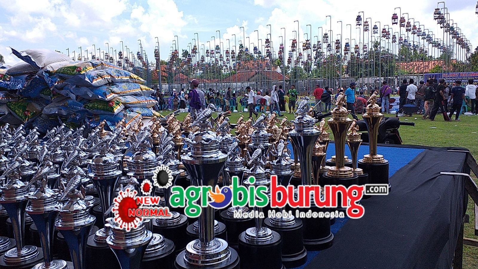 eZy_watermark_15-11-2020_06-54-12-1