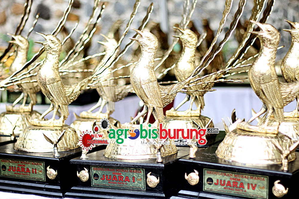 Piala Mewah