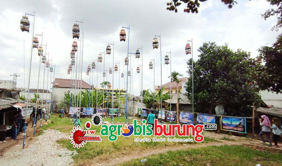 b6f5eb99-1ebb-4a55-97a4-c6b80ff96a1b