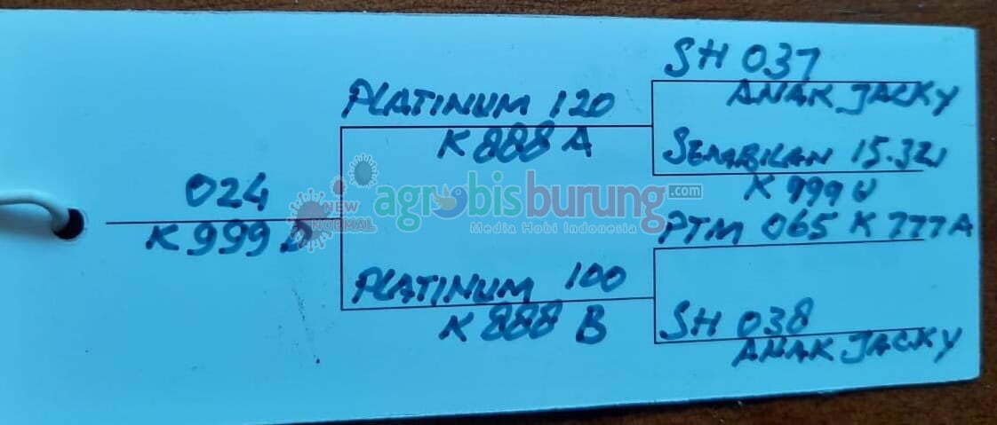 Materi Platinum 024 K.999D.
