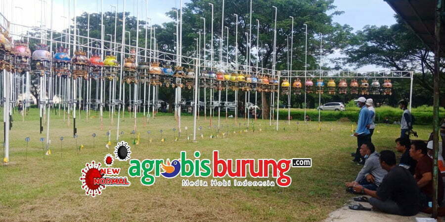 49b74b20-0c77-4950-8795-124c71cd1c9b