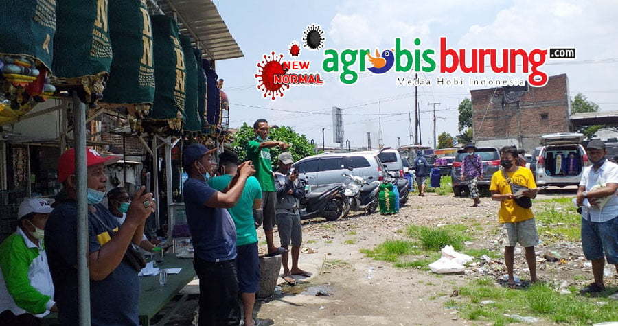 0acd2381-f042-4b97-b520-6356f9e9c228