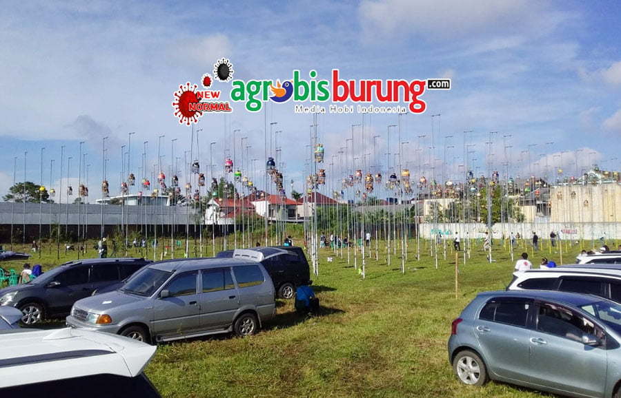 437d8356-c31f-46c2-a3be-aa563a38985c