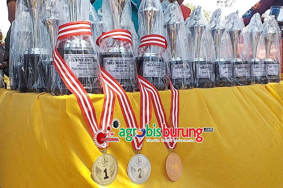 9185f221-59a6-4251-9197-afca6a187ab7