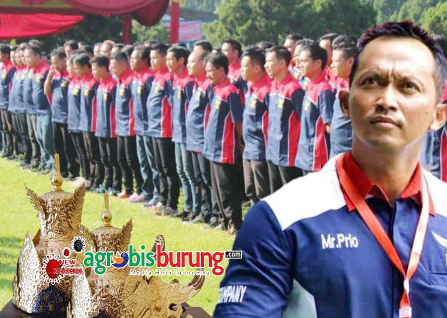 99111644_1152006485136172_4179390224280846336_n