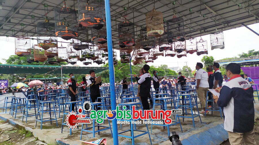 IMG_20210228_130951 - Copy