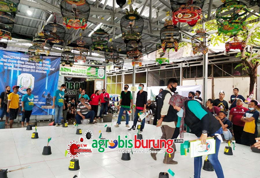 39df8612-5d7f-47a8-a811-568feb6be94e