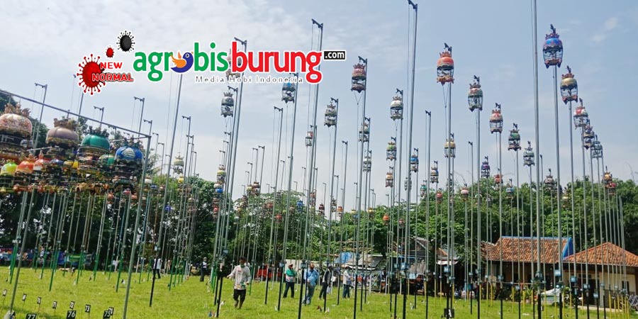 5bb6fa55-dac7-47a9-aa97-aa538a9898c2