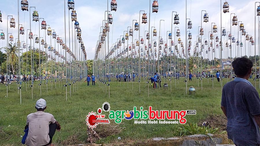 6965fd9b-aae9-478b-8997-bf0b22d04fdc