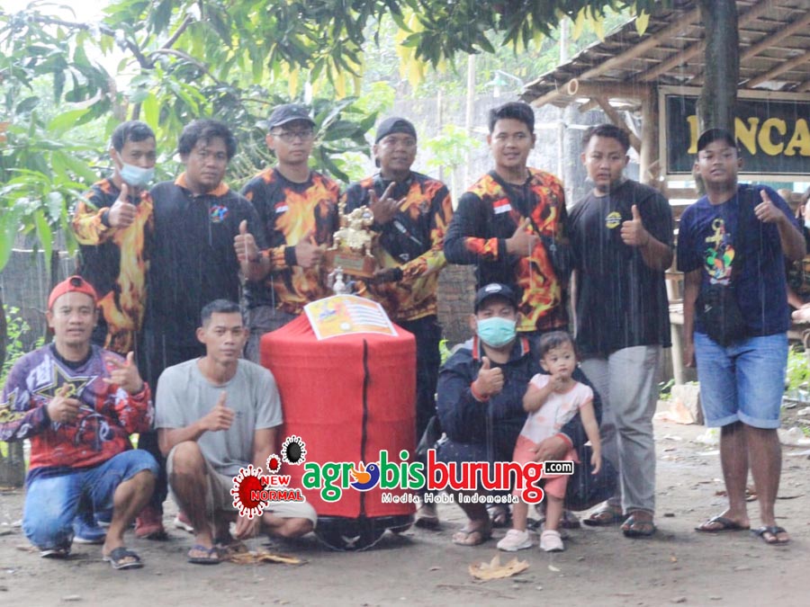 LIONIS MELEJIT DI KELAS UTAMA MURAI BATU JATENG