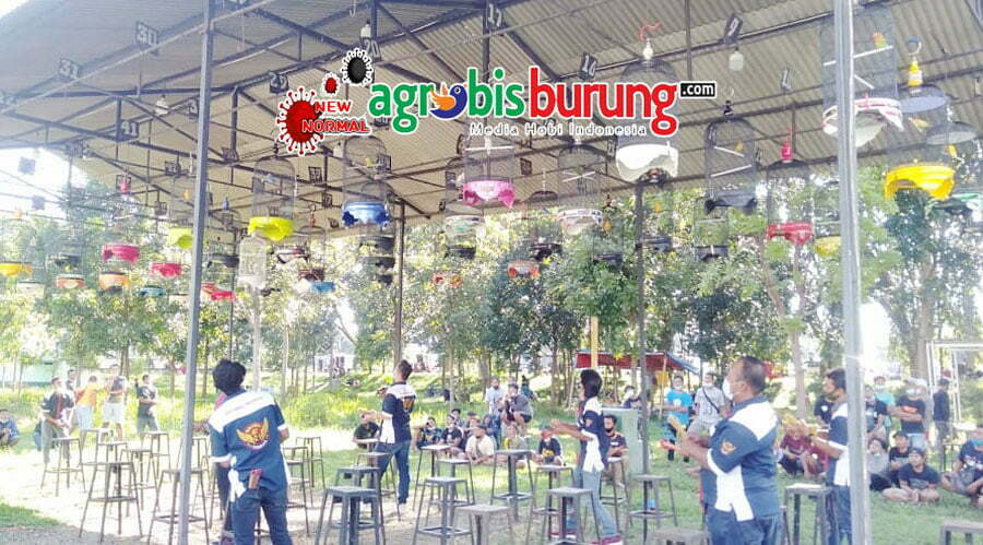 WhatsApp Image 2021-05-09 at 23.53