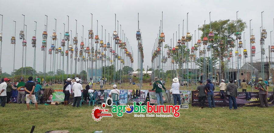 ea46cc00-3c4b-4e8c-a6c0-b183d1693550